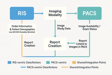 RIS vs PACS: The Complete 2025 Guide to Radiology Information Systems